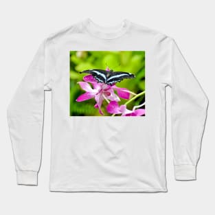 African Blue Banded Swallowtail Butterfly Long Sleeve T-Shirt